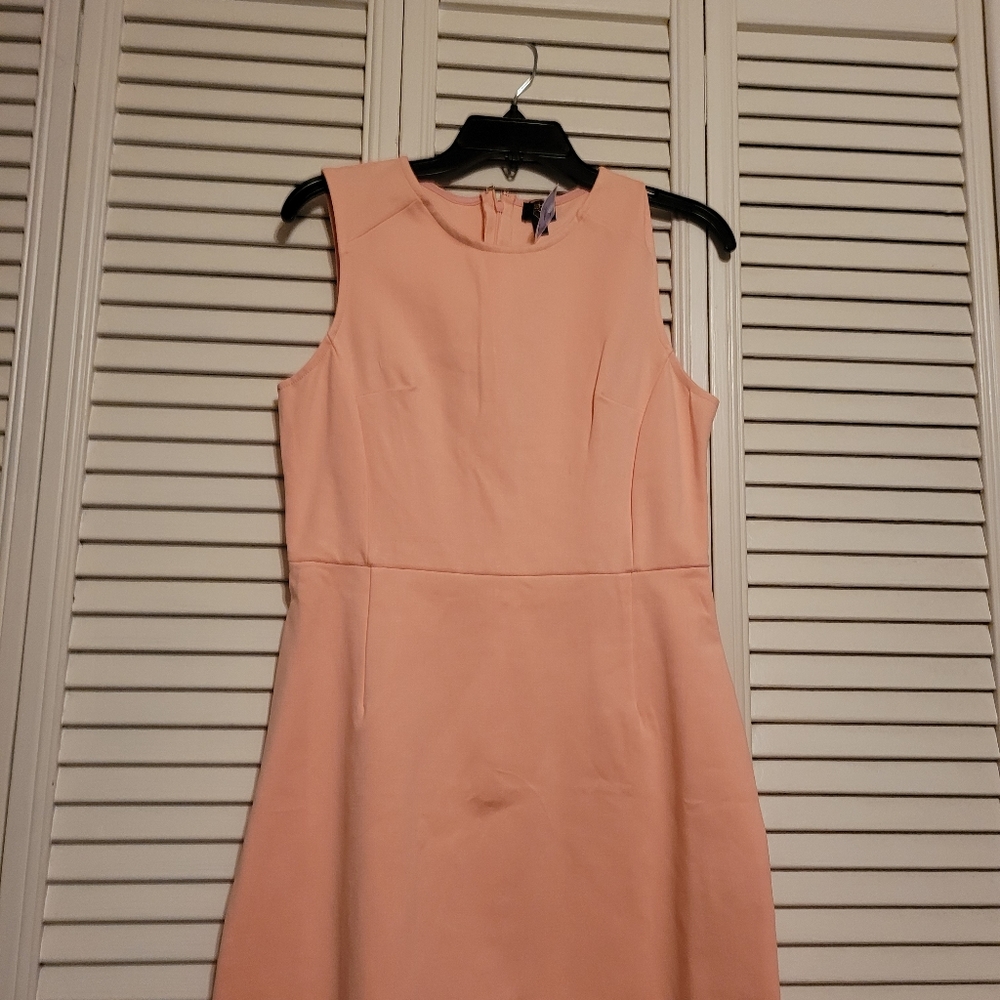 Nwt pink sheath style dress size large